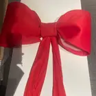 فيونكة تنسيق