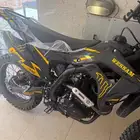 دباب صحراوي الوسام