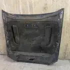 كبوت موستنج حق الوكاله