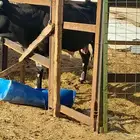 جده _الحرازات