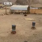 صندقه حمام دجاج