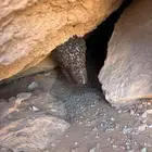 سكاكا الجوف