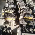 جيران مستوردة