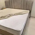 سرير نفرين اخو الجديد