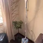 مكواة بخار فيليبس