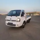 دينا كيا بينجو