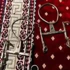 شكيمه ام ركبه