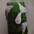 فروخ باجي غر