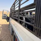 حفر الباطن الذيبيه