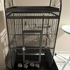 قفص ببغاء كبير و ستاند ببغاء للبيع