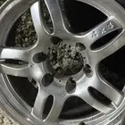 جنوط جيب للبيع