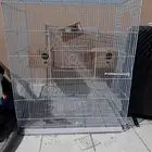 شبك طيور للبيع ونظيف ب100ريال