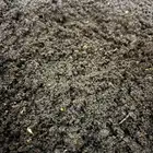 سماد دود رطب يحتوي على دودة الارض الرد ويجلر