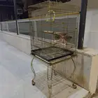 قفص طيور كبير يصلح للبغبغاء