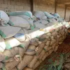 تمر علف عدد 800 كيس القصيم