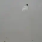 لمبات 75 واط