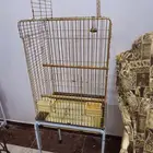 قفص ذهبي كبير للطيور