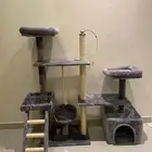 بيت قطط جديد