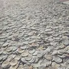 خبز ناشف للبيع