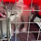 مكه المكرمه