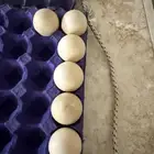 مدينة المنورة طريق تبوك