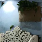 دره هندي العدد30