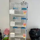 محكر حمام مجلفن