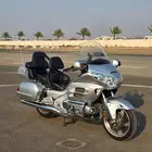 قولد وينق 2007 لفل 2