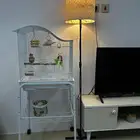 طيور روز ذكر وأنثى مع قفص وستاند