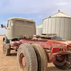 رأس سوبر فرخة موديل 83