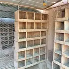 للبيع شبوك بقلاوة مقاس 2 2