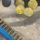 لاهل الآثار عملات نادره