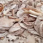 الرياض _الحريق