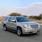 يوكند دينالي 2008