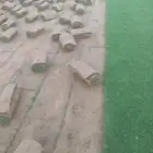 ثيل طبيعي