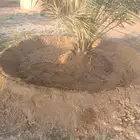 صينات مزرع تحوض تكريب قلعوغارس الفصيال انخل