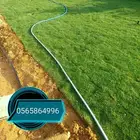 ثيل طبيعي تنسيق حدائق