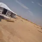 بيوت شعر تجهيز مخيمات