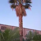 تسوير الاراضي بالشبك