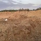 سماد خيل للراغبين مجانا