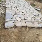 ربراب