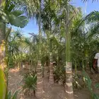 مشتل أبحر الشمالية بأسعار منافسة