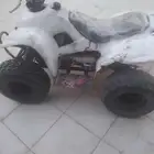 دباب جينان