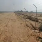 مقاول شبوك وتوريد نخيل