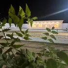 يعلن مربط عتاق الحجاز عن فتح الإيواء