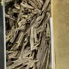 صيده صيده صيده .. عود هندي مجالس