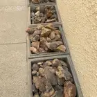 احجار زينه للحدايق المنزليه