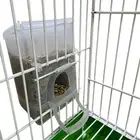 مأكلية معالف اقتصادية للبذور اخر عشر حبات لل كناري روز بادجي