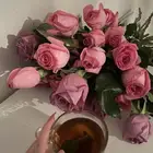 ابحث عن وظيفه نسائيه بالطايف