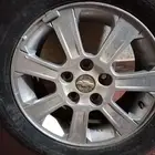 جنوط كابرس 2009